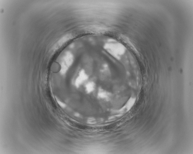 X0000087710679200706011810