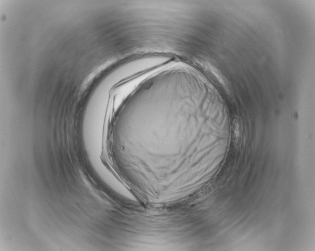 X0000087710684200706011810