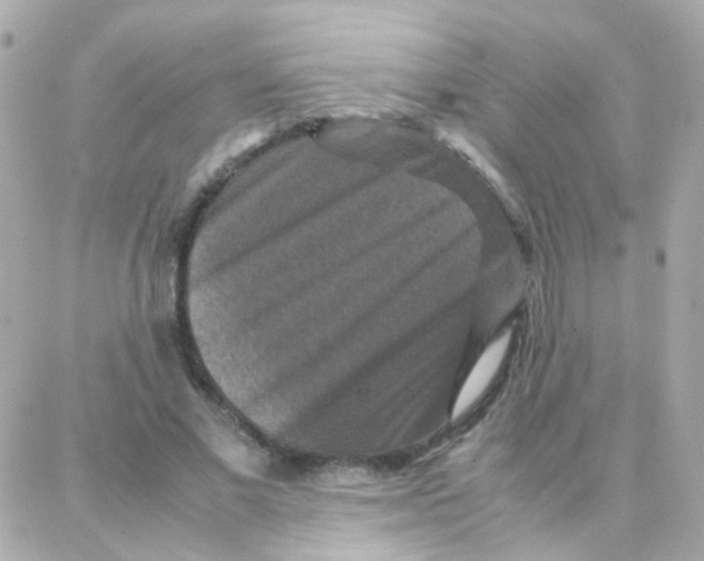 X0000087710685200706011810