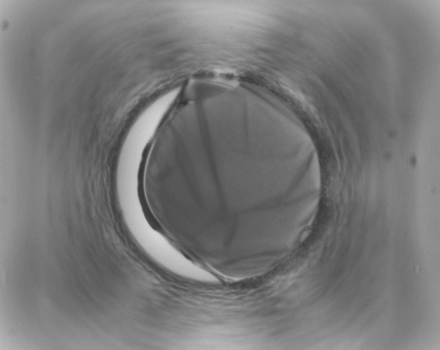 X0000087710689200706011810