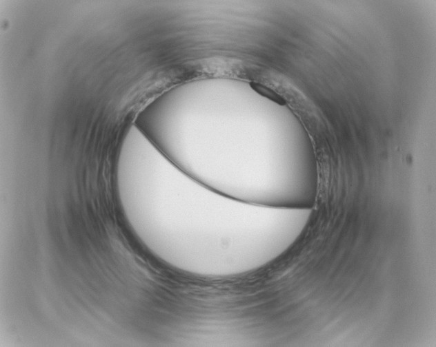 X0000087710696200706011810
