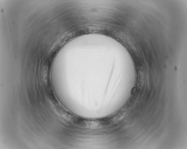 X0000087710698200706011810