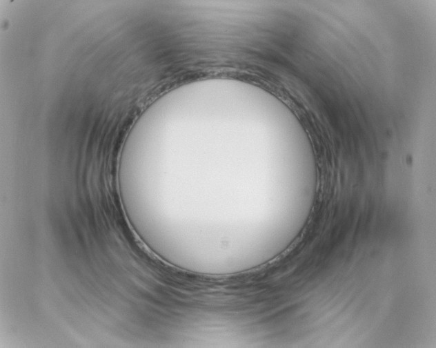 X0000087710700200706011810