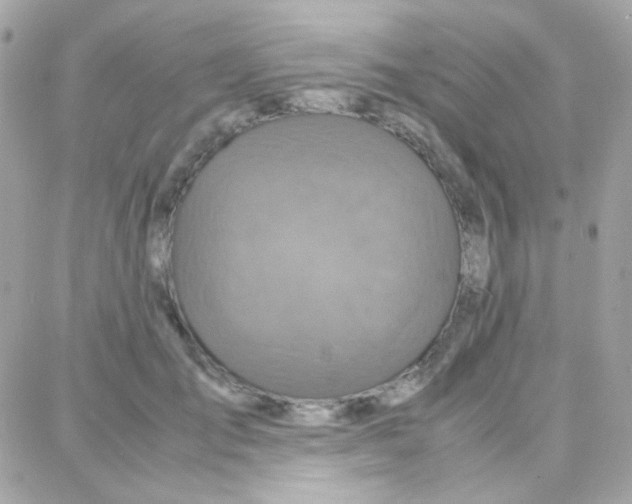 X0000087710701200706011810