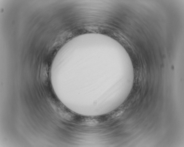 X0000087710702200706011810