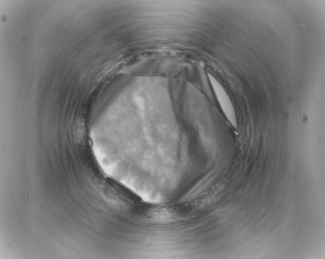 X0000087710704200706011810