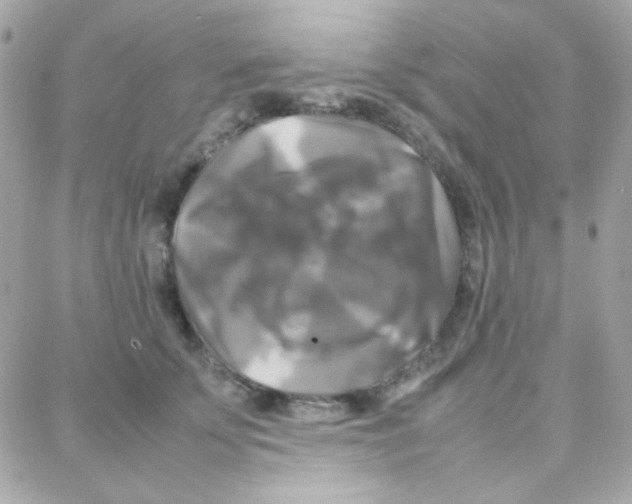 X0000087710707200706011810