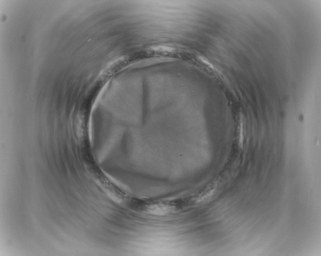 X0000087710708200706011810