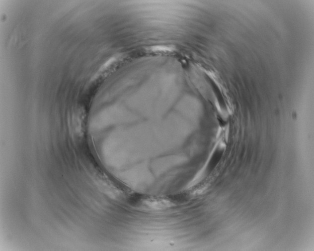 X0000087710712200706011810