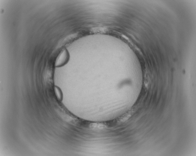 X0000087710714200706011810