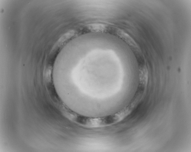 X0000087710717200706011810