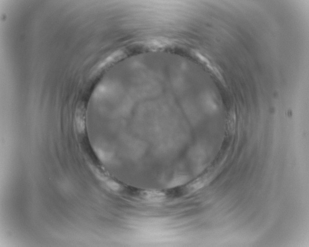 X0000087710719200706011810
