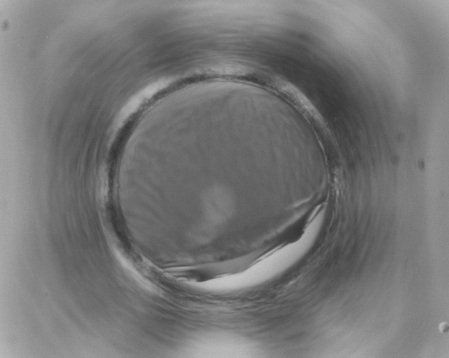 X0000087710726200706011809
