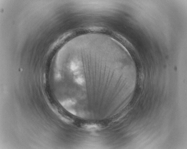 X0000087710734200706011809