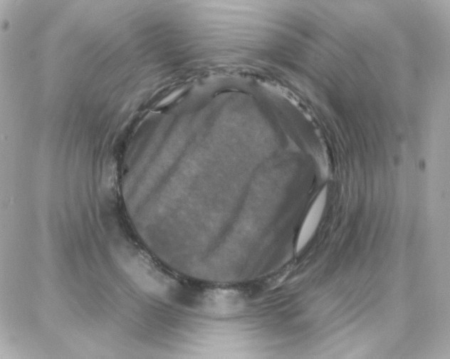 X0000087710748200706011809