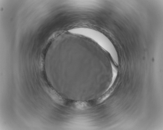 X0000087710762200706011809