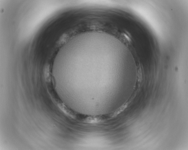 X0000087710764200706011809