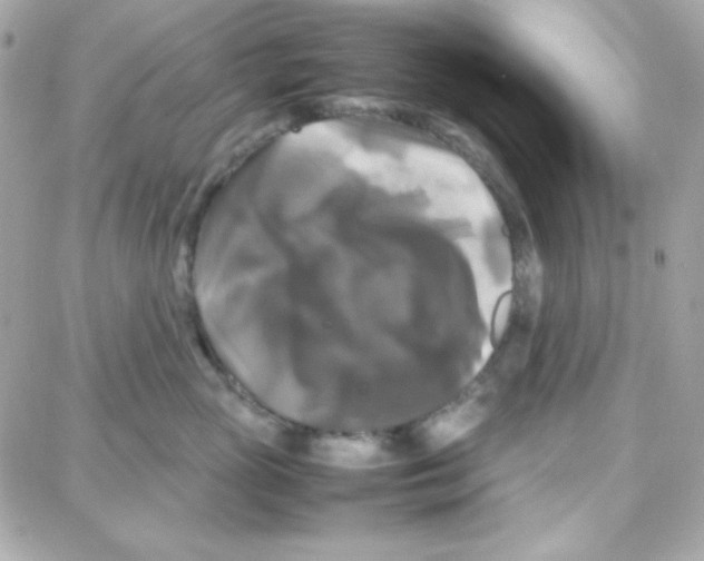 X0000087710765200706011809