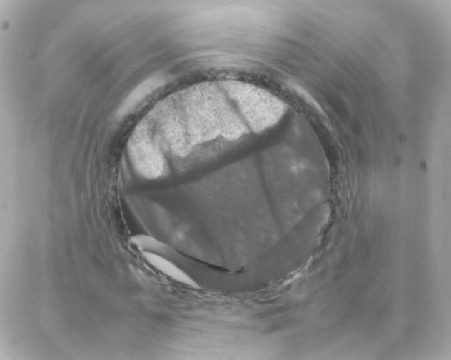 X0000087710775200706011809