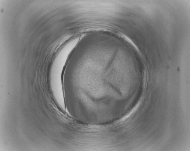 X0000087710777200706011809