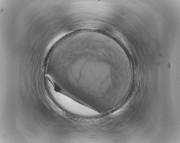 X0000087710779200706011809