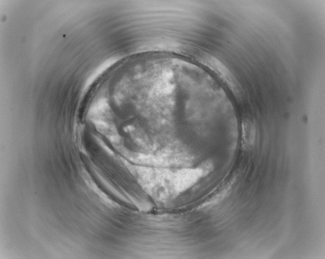 X0000087710780200706011809