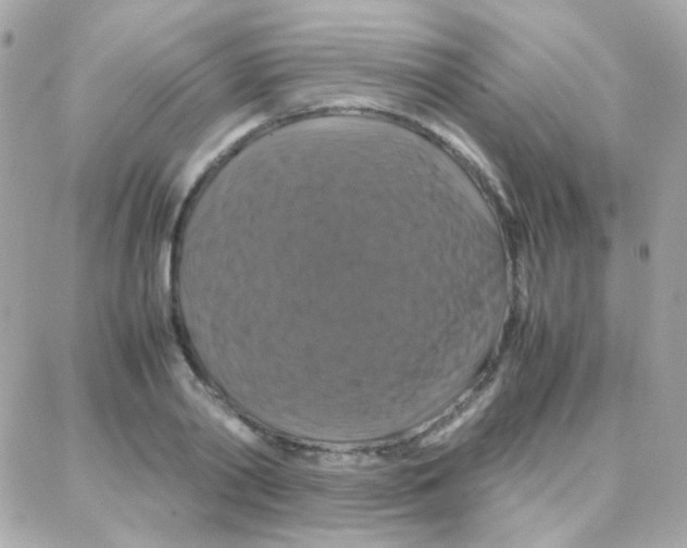 X0000087710790200706011808
