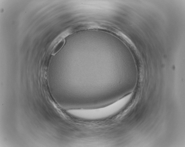 X0000087710793200706011808