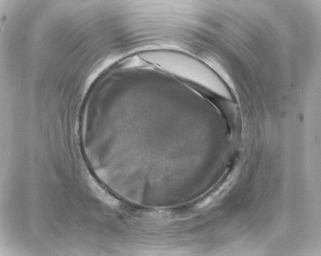 X0000087710797200706011808