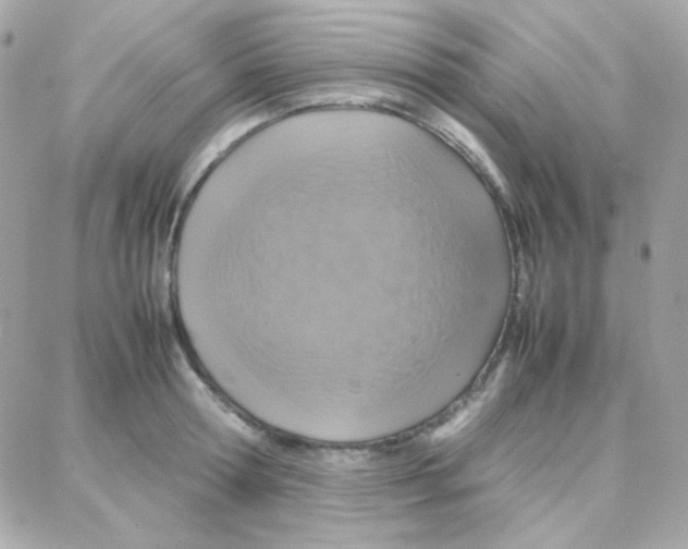 X0000087710802200706011808