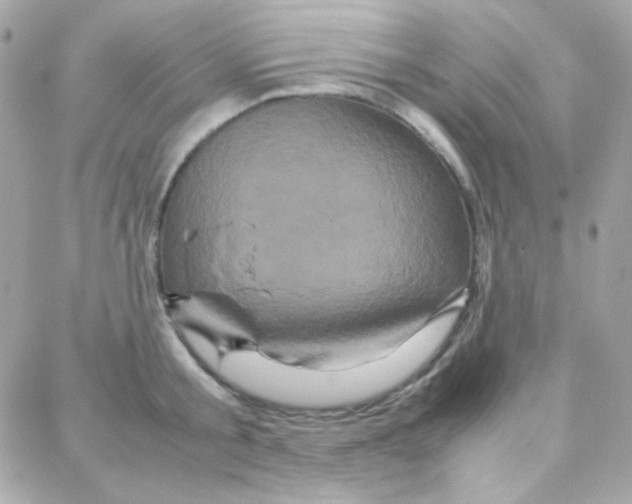 X0000087710805200706011808