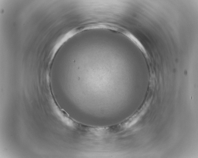 X0000087710813200706011808