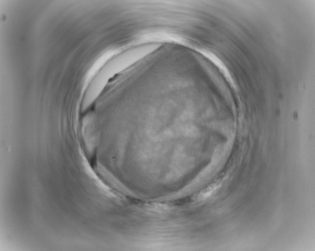 X0000087710815200706011808