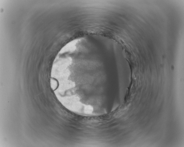 X0000087710817200706011807