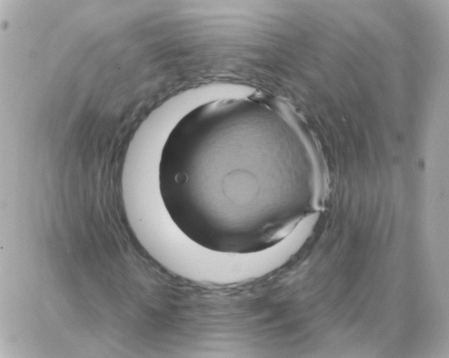 X0000087710818200706011807