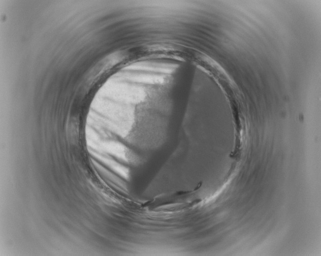 X0000087710825200706011807