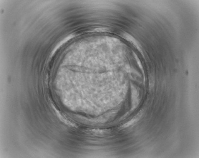X0000087710827200706011807
