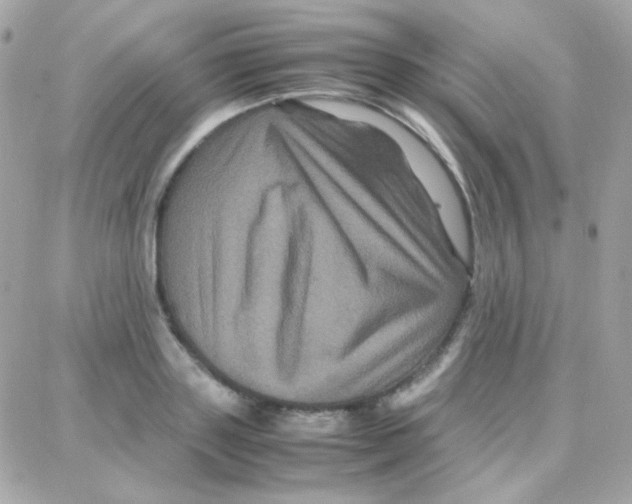 X0000087710843200706011808