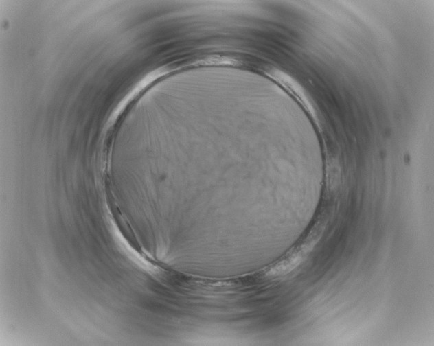 X0000087710851200706011808