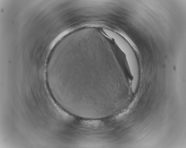 X0000087710853200706011808