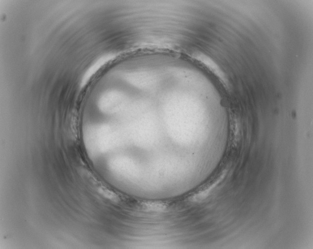 X0000087710878200706011807