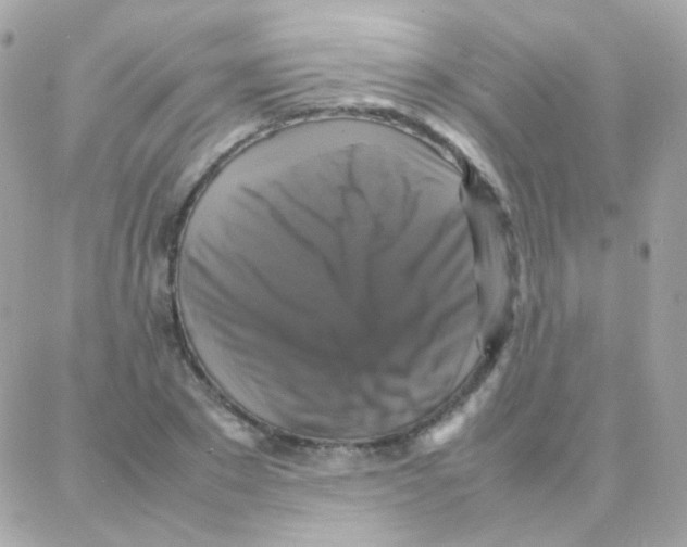 X0000087710881200706011807