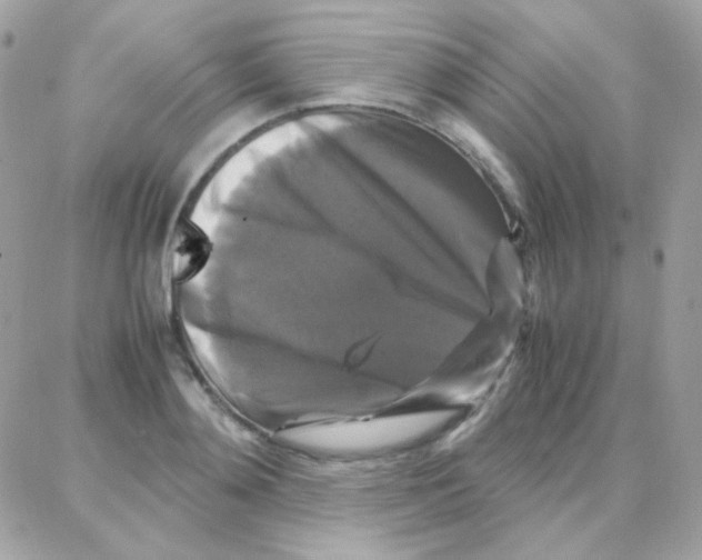 X0000087710892200706011807