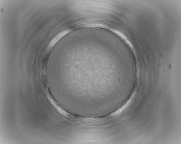 X0000087710897200706011807