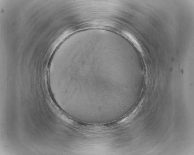X0000087710899200706011807