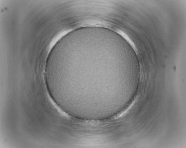 X0000087710901200706011807