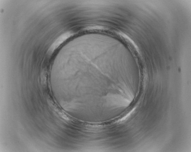 X0000087710921200706011806