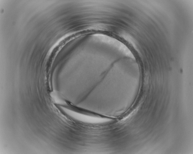 X0000087710923200706011806