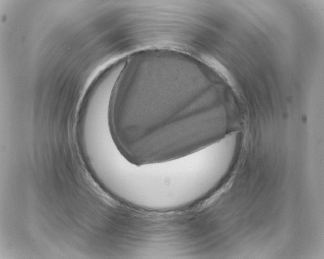 X0000087710924200706011806