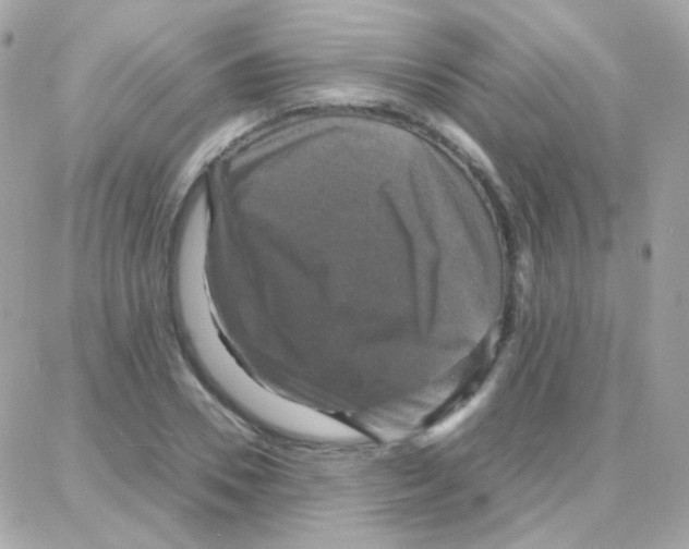 X0000087710930200706011806